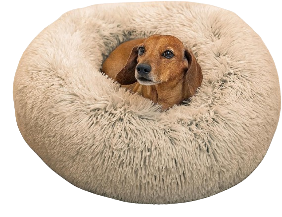 Comfortable-Dog-Beds